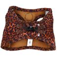 Step in kattsele Leopard
