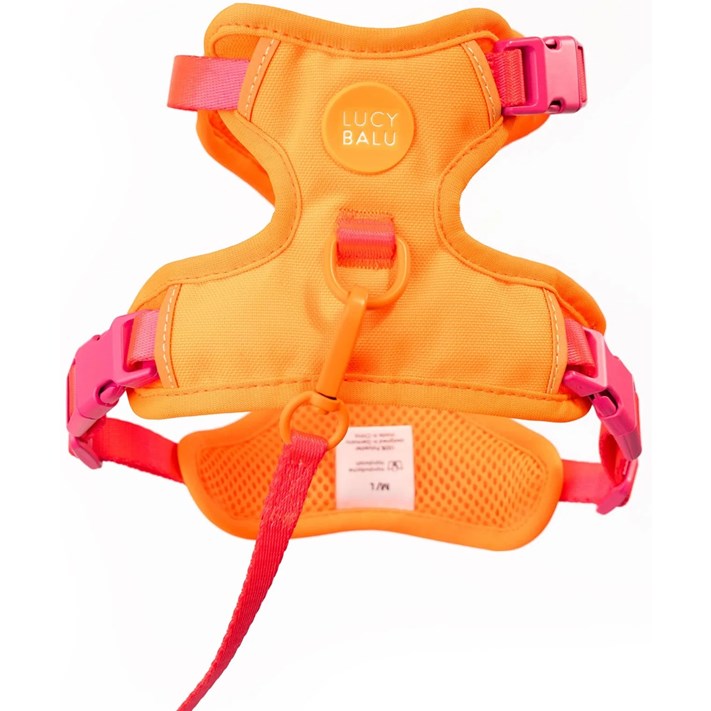 LucyBalu Explorer kattsele Apelsin XS/S