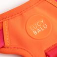 LucyBalu Explorer kattsele Apelsin XS/S