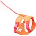 LucyBalu Explorer kattsele Apelsin XS/S
