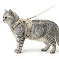 LucyBalu Explorer kattsele Sand XS/S