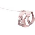 LucyBalu Explorer kattsele Rosé Hello Kitty M/L