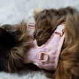 LucyBalu Explorer kattsele Rosé Hello Kitty M/L