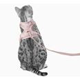 LucyBalu Explorer kattsele Rosé Hello Kitty M/L