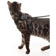 LucyBalu Explorer kattsele Leo M/L