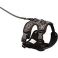 LucyBalu Explorer kattsele Leo M/L