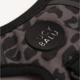 LucyBalu Explorer kattsele Leo M/L