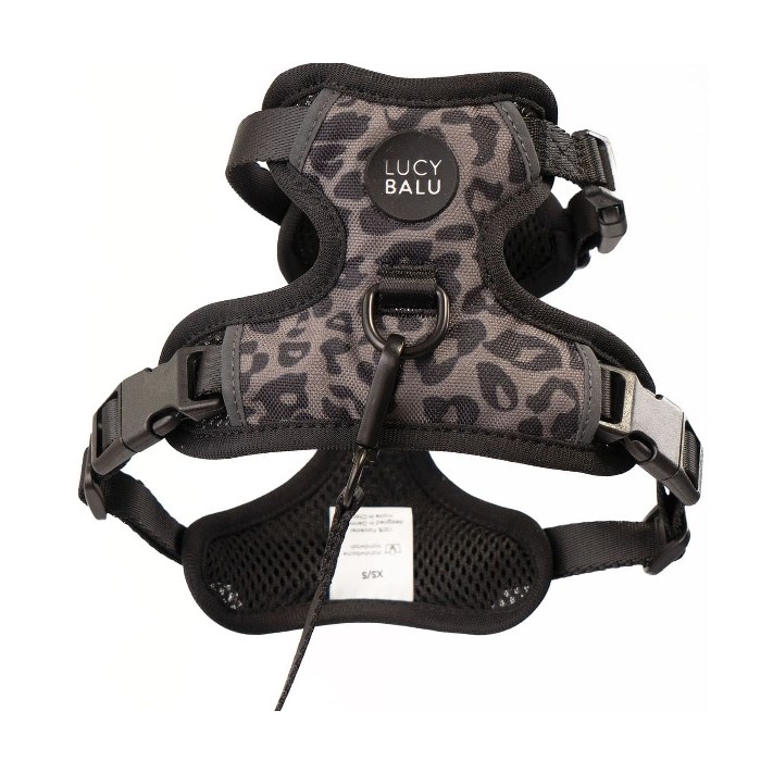 LucyBalu Explorer kattsele Leo XS/S