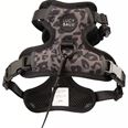LucyBalu Explorer kattsele Leo XS/S