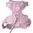 LucyBalu Explorer kattsele Lila XS/S