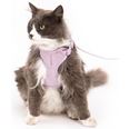 LucyBalu Explorer kattsele Lila XS/S