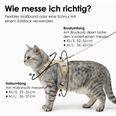 LucyBalu Explorer kattsele Lila XS/S