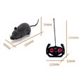 Four-way Remote Control Electric Mouse cat Toy