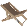 Cat Lounger Beach