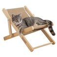 Cat Lounger Beach