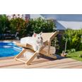 Cat Lounger Beach