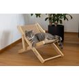 Cat Lounger Beach