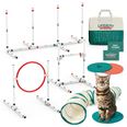 Cat Agility