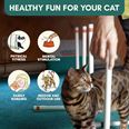 Cat Agility