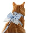 Kattsele Bowknot Blå