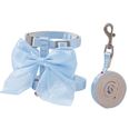 Kattsele Bowknot Blå