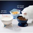 Kattmatskål Universe