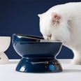 Kattmatskål Universe