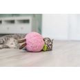Persika XXL plysch kattmynta 20 cm