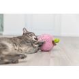Persika XXL plysch kattmynta 20 cm