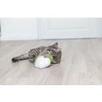 Blomkål XXL plysch kattmynta 18 cm