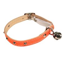 Katthalsband helreflex Orange med Nitar