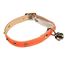 Katthalsband helreflex Orange med Nitar