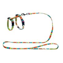 Hunter Kattsele med koppel Stripes