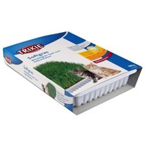 Mjukt kattgräs vitaminberikad