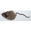Kattleksak Cat Catcher refill mus