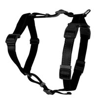 Kattsele H-modell Svart xs