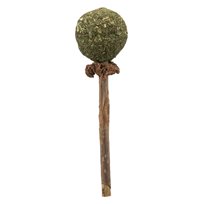 Matatabi LollyPop kattmynta