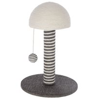Klös svampen Funghi