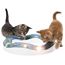 Kattleksak Bollbana Cat It Senses Speed Circuit