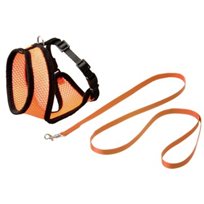 Kattsele mesh med koppel kattunge orange