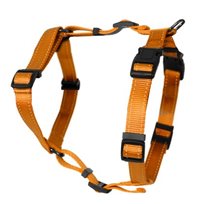 Kattsele H-modell Orange xs