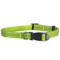 Dogman Hundhalsband Grön
