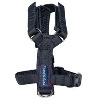 Kattsele Gustaf & Evita Strap Svart