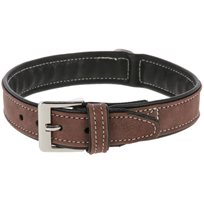 Hundhalsband California 32-38cm