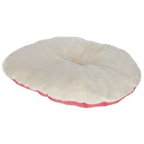 Kattdyna Raspberry