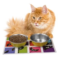 Kattmatskål MAGNETIC Set S