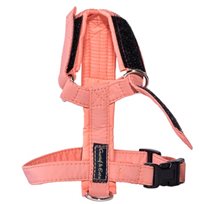 Kattsele Gustaf och Evita Strap Peach