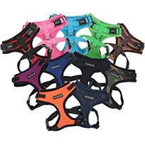 Obs retur 50% Puppia ritefit