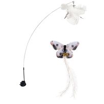 Kattvippa Companion