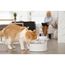 Vattenfontän Petsafe Outlast fontaine 1,7L